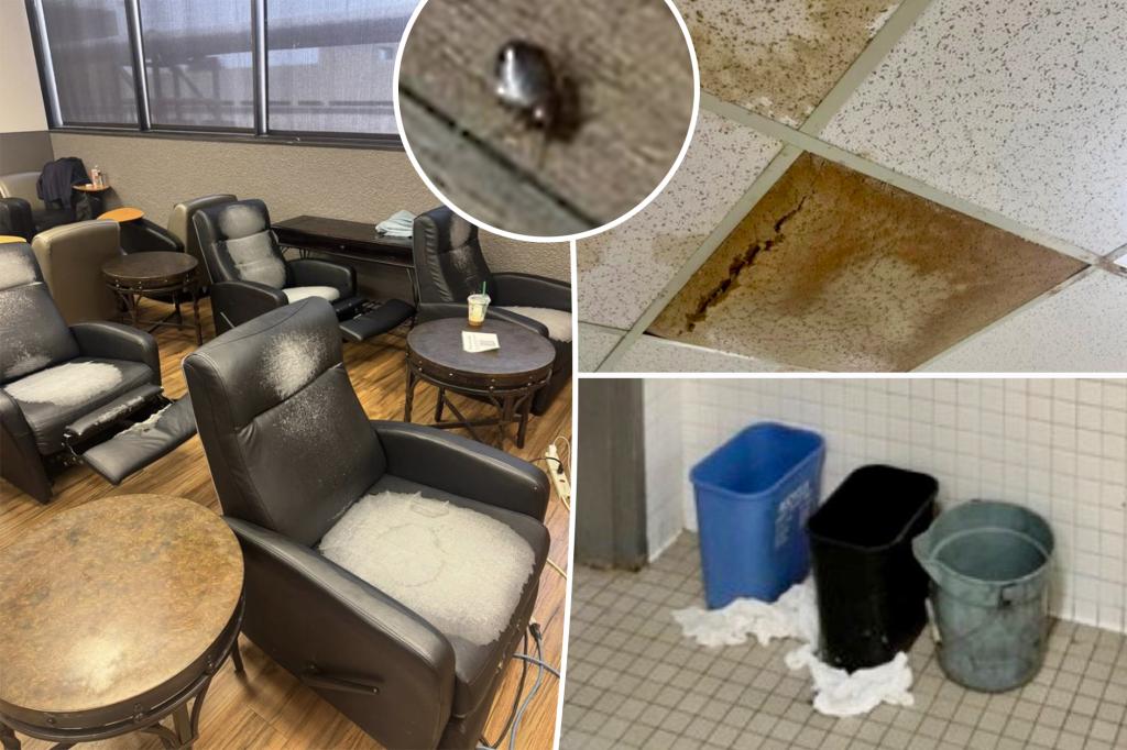 Fed-up employees on Top Airline are blowing the whistle in lounge 'miserable'