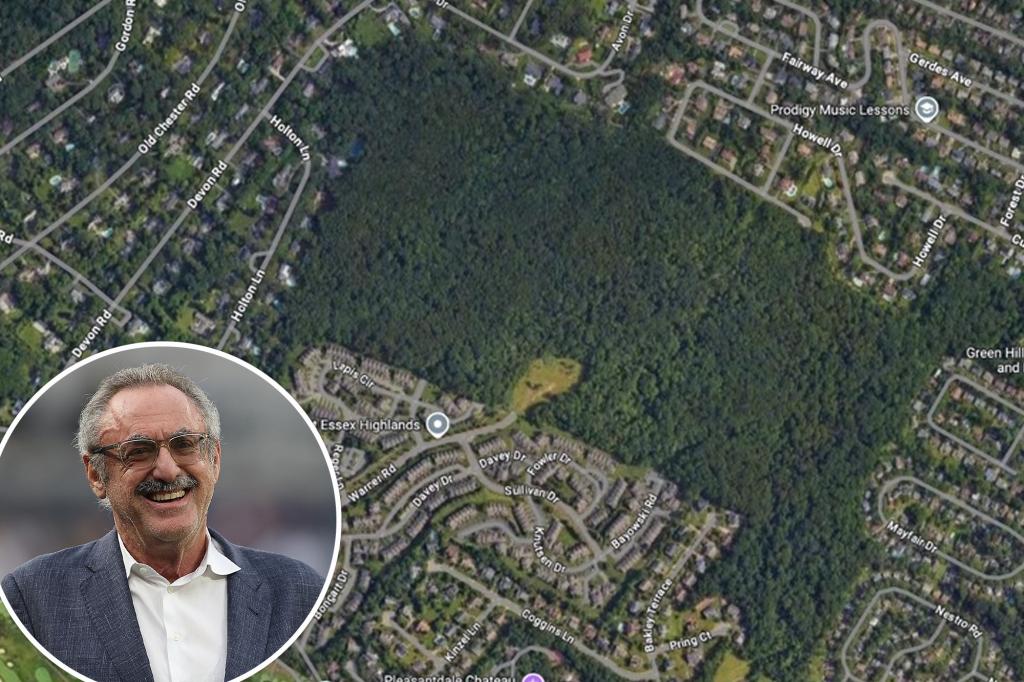The NFL billionaire owner wants to build affordable shelter on a hill pristine a hilltop - and locals are crazy like hell