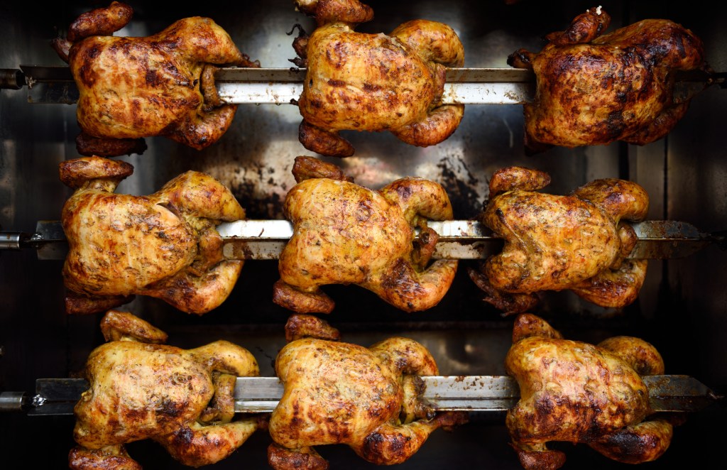 chicken