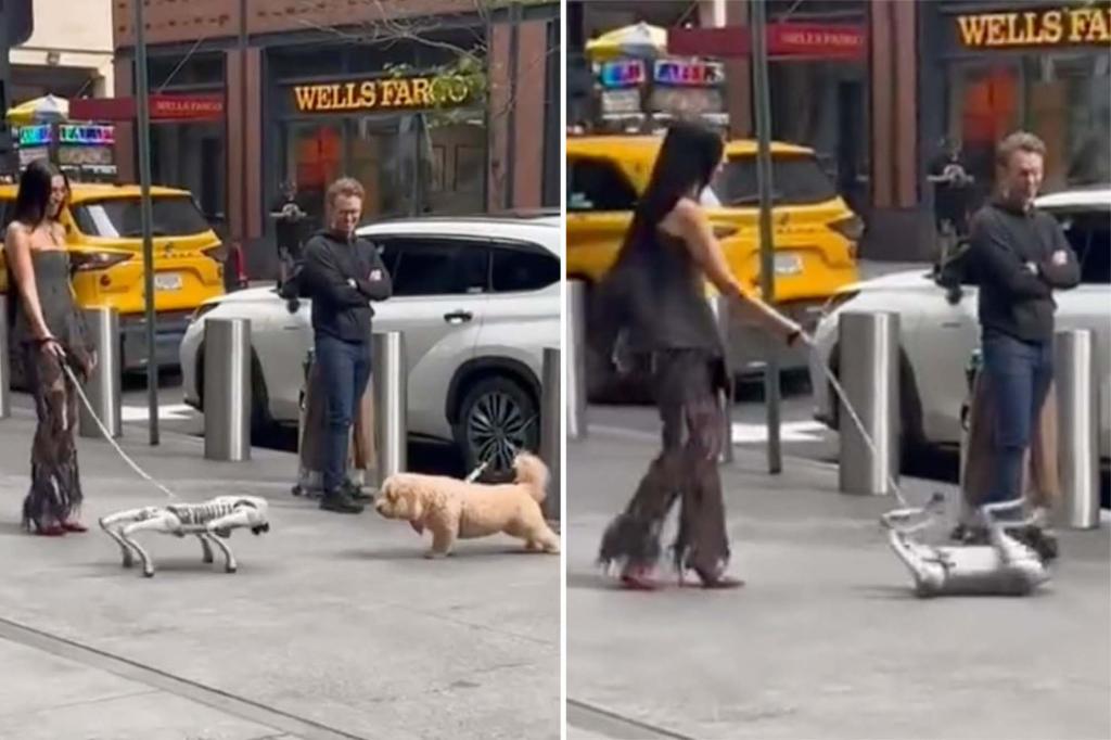 The 'Dystopian' video shows the robot dog that scares the real dog in NYC: 'This thing is possessed'
