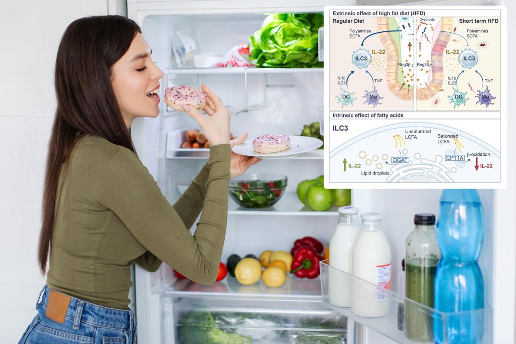 Frazy meal taste so good - new trials suggest they are so bad for your body