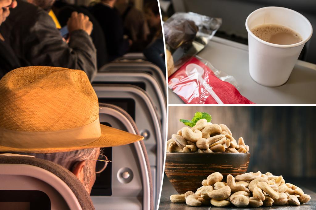 Massive, suppressed list of passenger allergy requirements, arouses reaction: 'I am allergic to its smell'