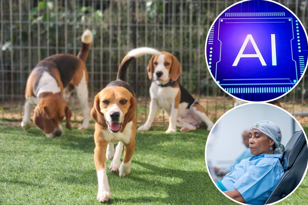 Exclusive | The new home test can detect cancer - thanks to the adorable cubs who smell it in the lab