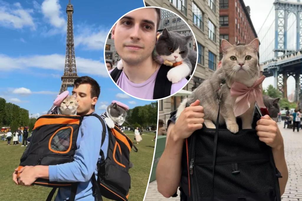 Illinois Pet owner spent $ 23,000 on his cats to travel to the world 10 times in 2 years