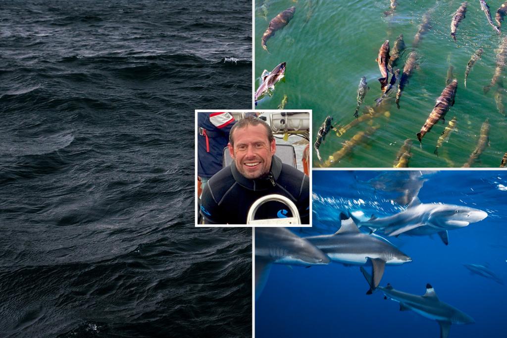 Earth's oceans are growing darker, threatening maritime life all over the world: study