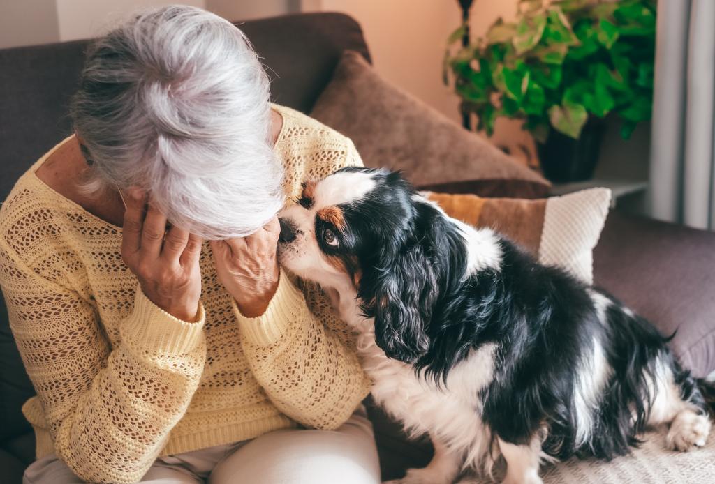 Dear Abby: I am in love with the much younger man for whom the dog is sitting