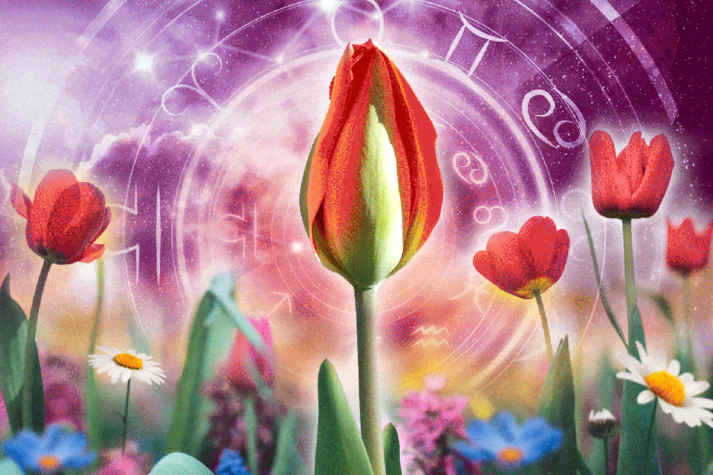 What is in the stars for June 2025? Summer solstice is above us - and good luck is signs of change