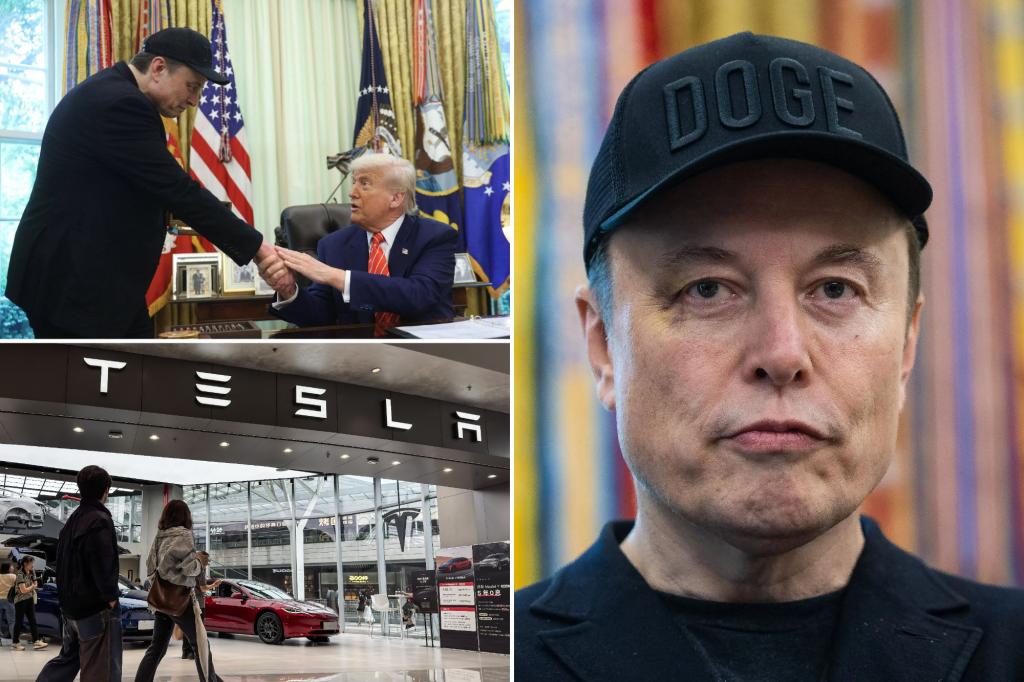 Tesla divides as Trump, Musk escalates attacks: 'Elon's policy continues to damage the shares'