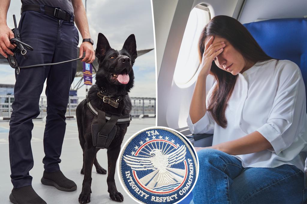 This daily article made me stuck by airport safety dogs - and nearly $ 800 in fine