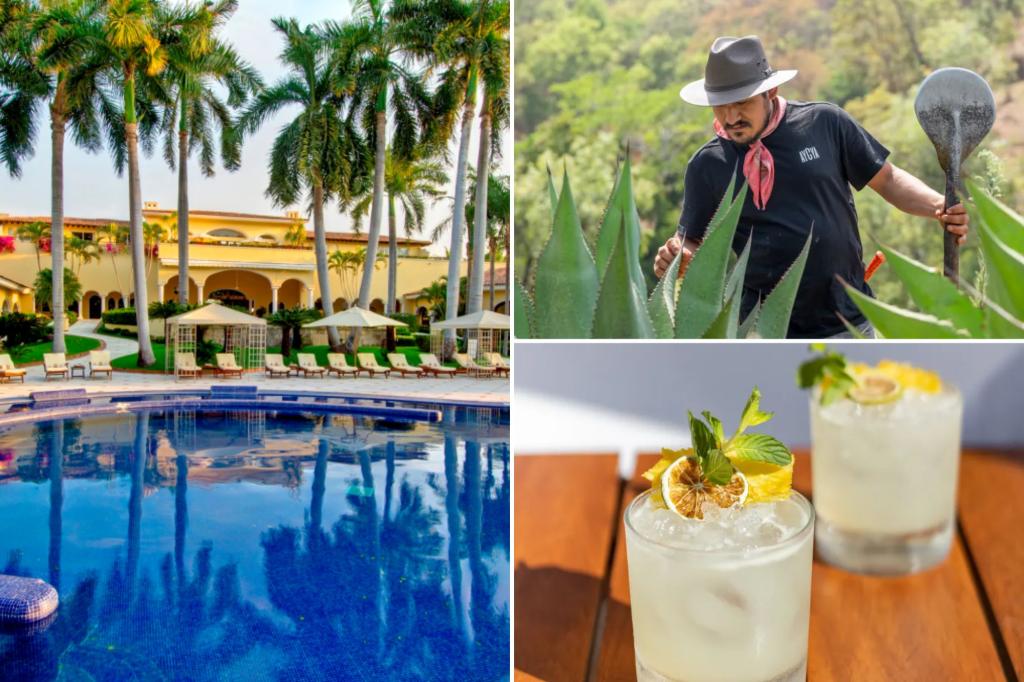 See ya, tequila: discover other agave deep in the heart of Mexico