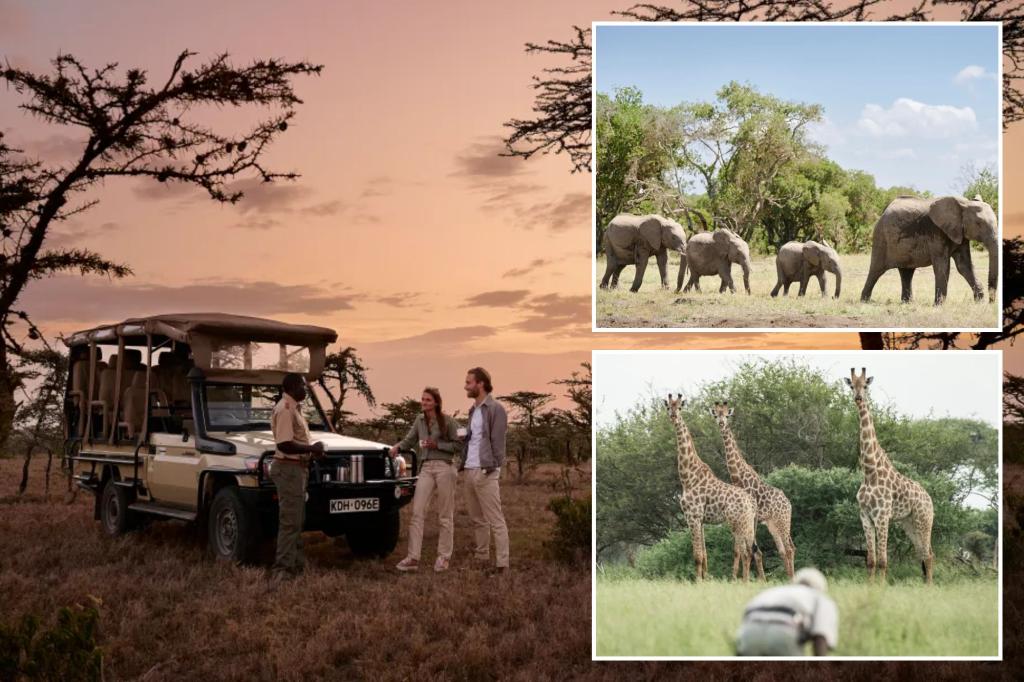 Help Required: How to select the perfect guide for your next African safari