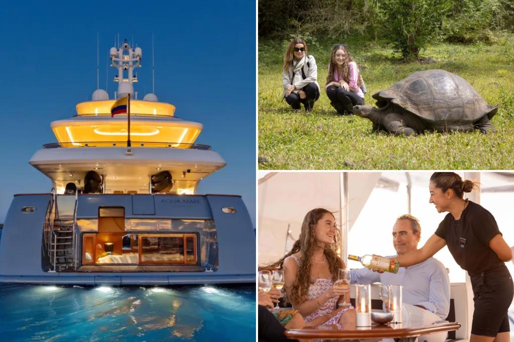 For the last expedition of Galapagos Join a luxury safari ship