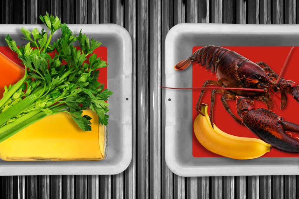 TSA warns passengers about small rules of food and drinks at security checkpoints while summer trip hits high clothing