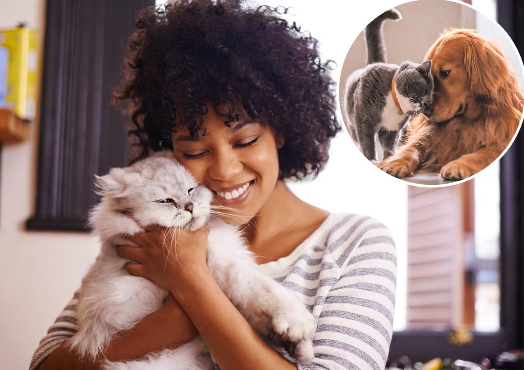 Here are the states with the most devoted owners of pets - where is your ranked?
