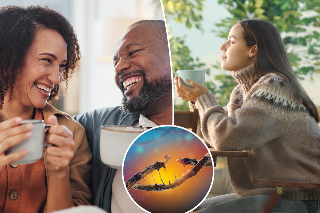 Your morning coffee can help you stay new - but there is a catch